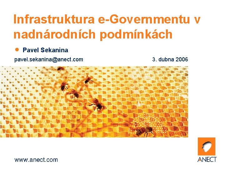 Infrastruktura e-Governmentu v nadnárodních podmínkách Pavel Sekanina pavel. sekanina@anect. com 3. dubna 2006 