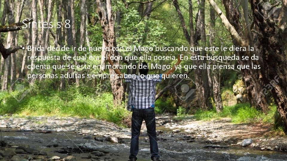 Síntesis 8 • Brida decide ir de nuevo con el Mago buscando que este