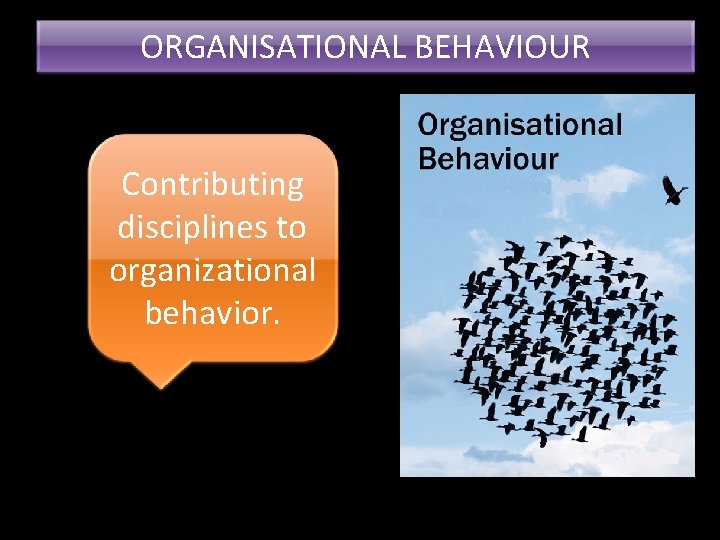ORGANISATIONAL BEHAVIOUR Contributing disciplines to organizational behavior. 