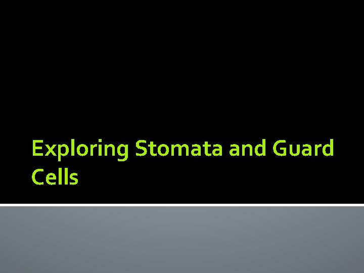 Exploring Stomata and Guard Cells 