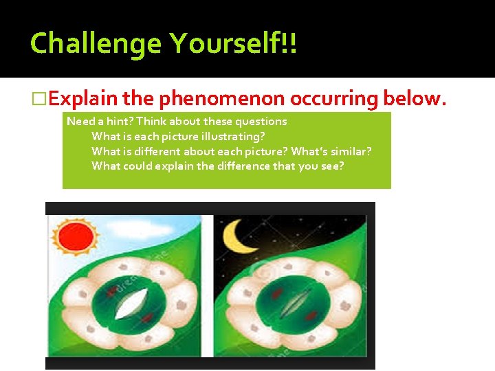 Challenge Yourself!! �Explain the phenomenon occurring below. Need a hint? Think about these questions