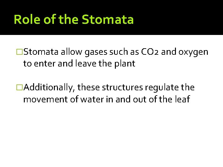 Role of the Stomata �Stomata allow gases such as CO 2 and oxygen to