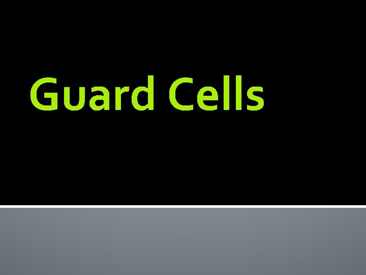 Guard Cells 