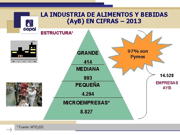 LA INDUSTRIA DE ALIMENTOS Y BEBIDAS (Ay. B) EN CIFRAS – 2013 ESTRUCTURA¹ GRANDE