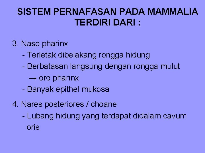 SISTEM PERNAFASAN PADA MAMMALIA TERDIRI DARI : 3. Naso pharinx - Terletak dibelakang rongga