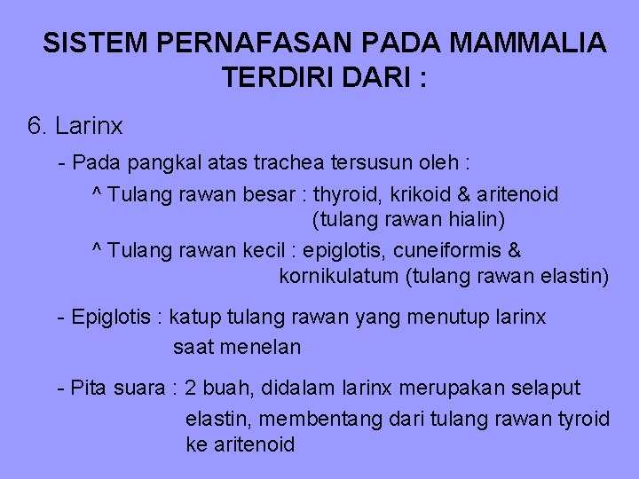 SISTEM PERNAFASAN PADA MAMMALIA TERDIRI DARI : 6. Larinx - Pada pangkal atas trachea