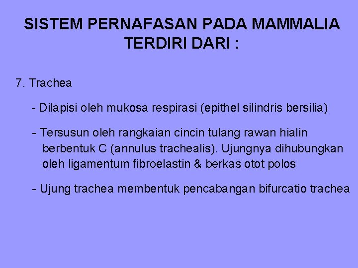 SISTEM PERNAFASAN PADA MAMMALIA TERDIRI DARI : 7. Trachea - Dilapisi oleh mukosa respirasi