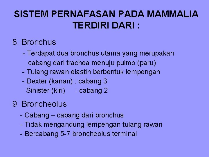 SISTEM PERNAFASAN PADA MAMMALIA TERDIRI DARI : 8. Bronchus - Terdapat dua bronchus utama