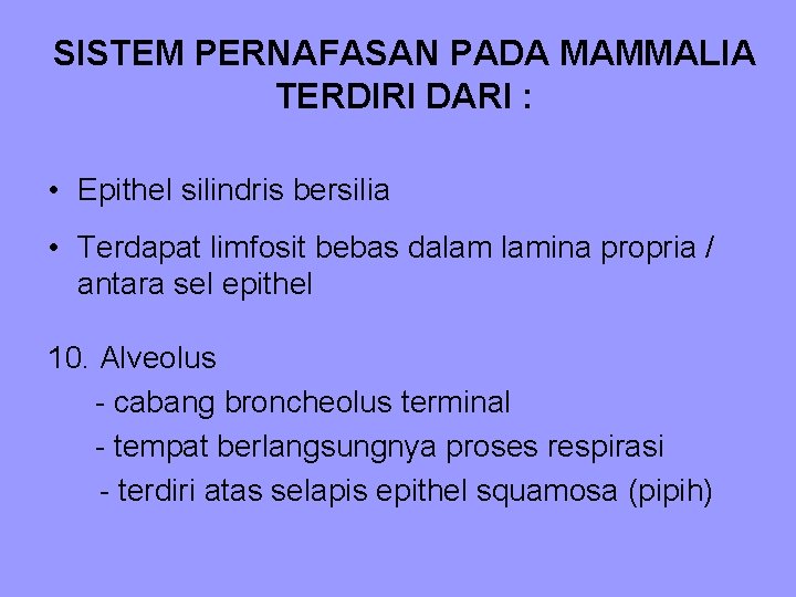 SISTEM PERNAFASAN PADA MAMMALIA TERDIRI DARI : • Epithel silindris bersilia • Terdapat limfosit