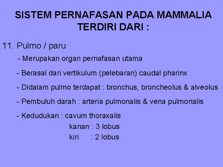 SISTEM PERNAFASAN PADA MAMMALIA TERDIRI DARI : 11. Pulmo / paru - Merupakan organ SISTEM PERNAFASAN PADA MAMMALIA TERDIRI DARI : 11. Pulmo / paru - Merupakan organ