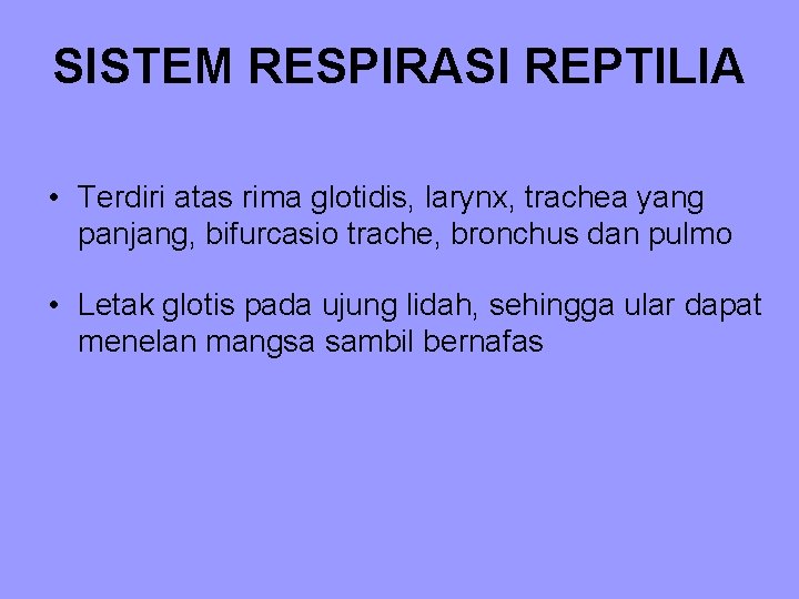 SISTEM RESPIRASI REPTILIA • Terdiri atas rima glotidis, larynx, trachea yang panjang, bifurcasio trache,