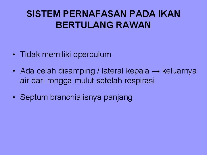 SISTEM PERNAFASAN PADA IKAN BERTULANG RAWAN • Tidak memiliki operculum • Ada celah disamping