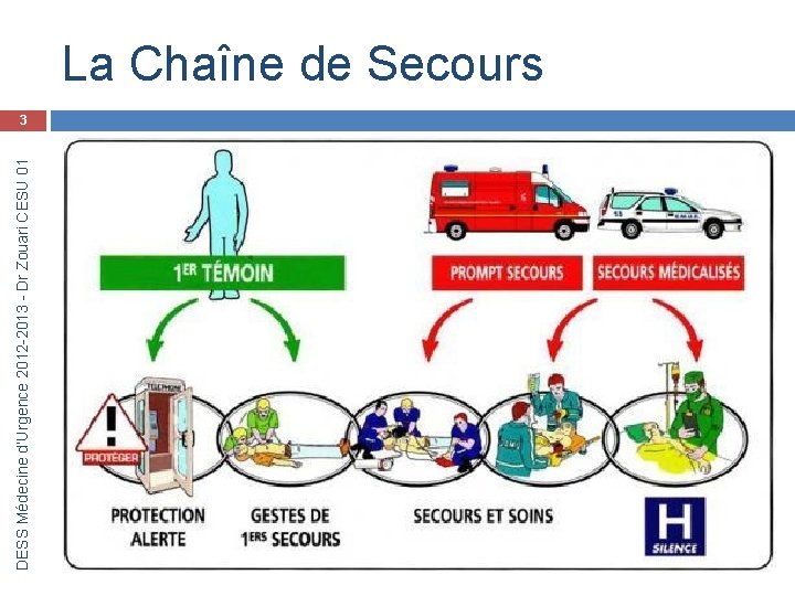 DESS Médecine d’Urgence 2012 -2013 - Dr Zouari CESU 01 La Chaîne de Secours