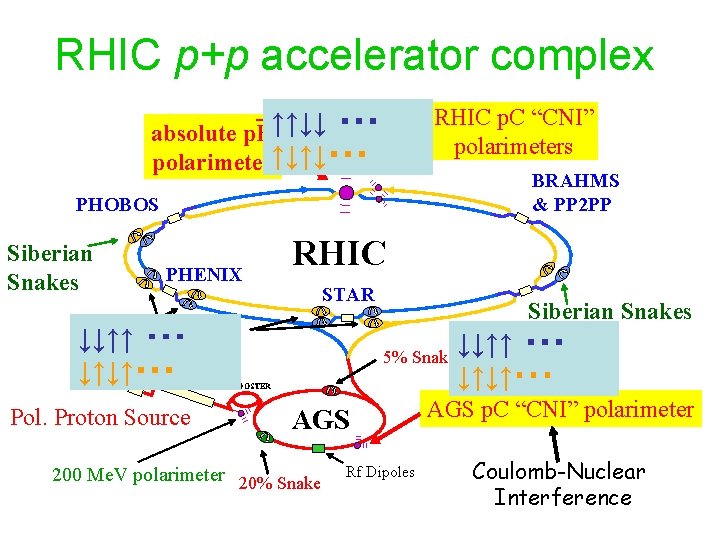 RHIC p+p accelerator complex RHIC p. C “CNI” polarimeters absolute p. H↑↑↓↓ ・・・ polarimeter↑↓↑↓・・・