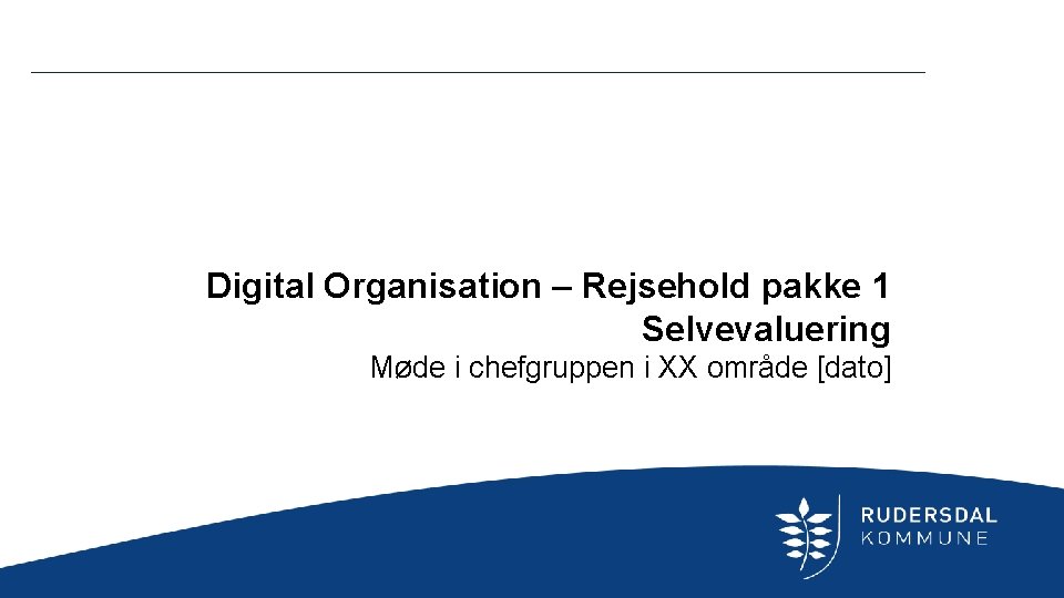 Digital Organisation – Rejsehold pakke 1 Selvevaluering Møde i chefgruppen i XX område [dato]