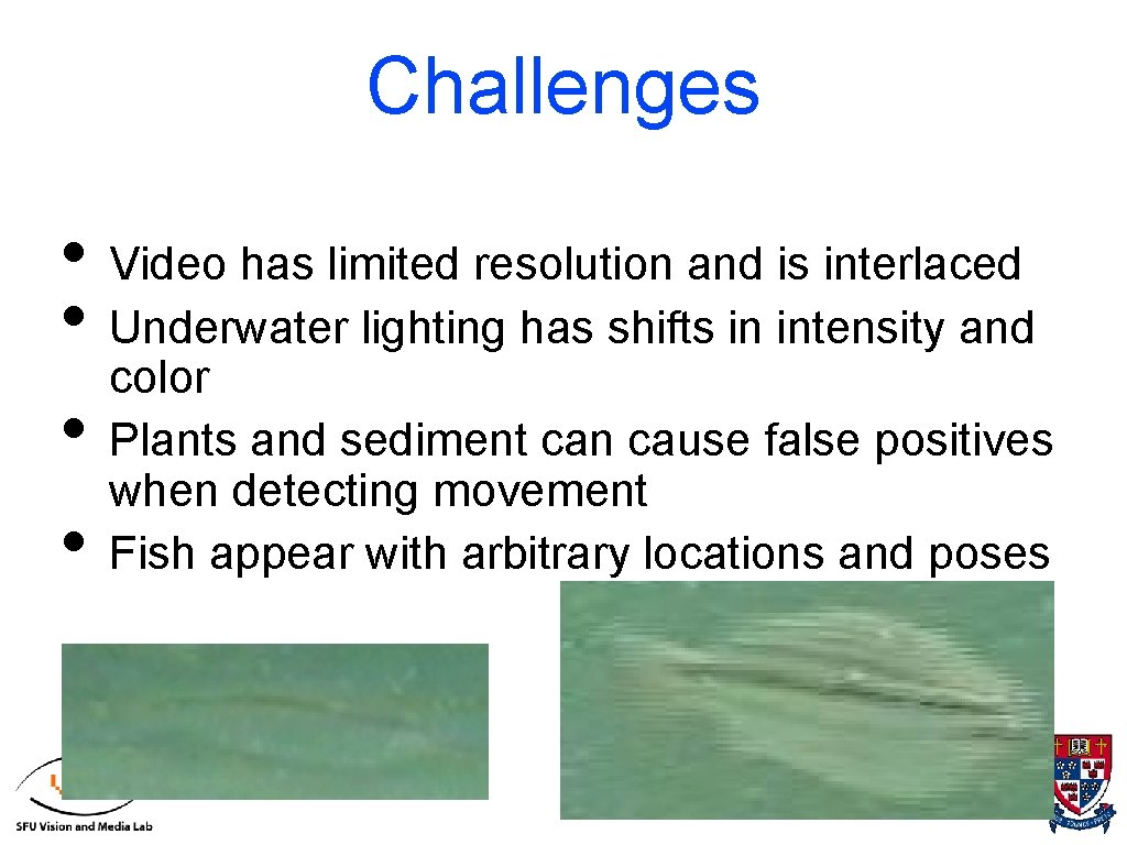 Challenges • Video has limited resolution and is interlaced • Underwater lighting has shifts