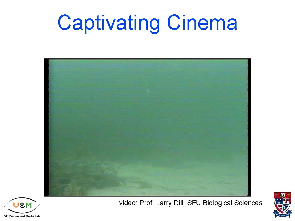 Captivating Cinema video: Prof. Larry Dill, SFU Biological Sciences 