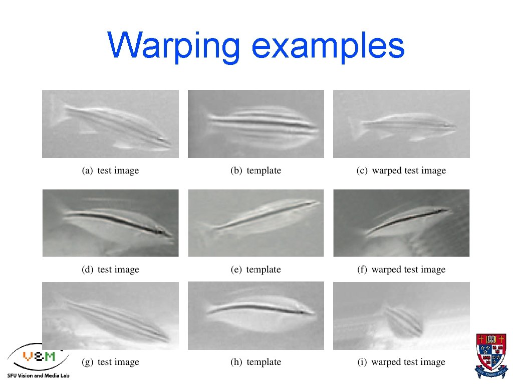 Warping examples 