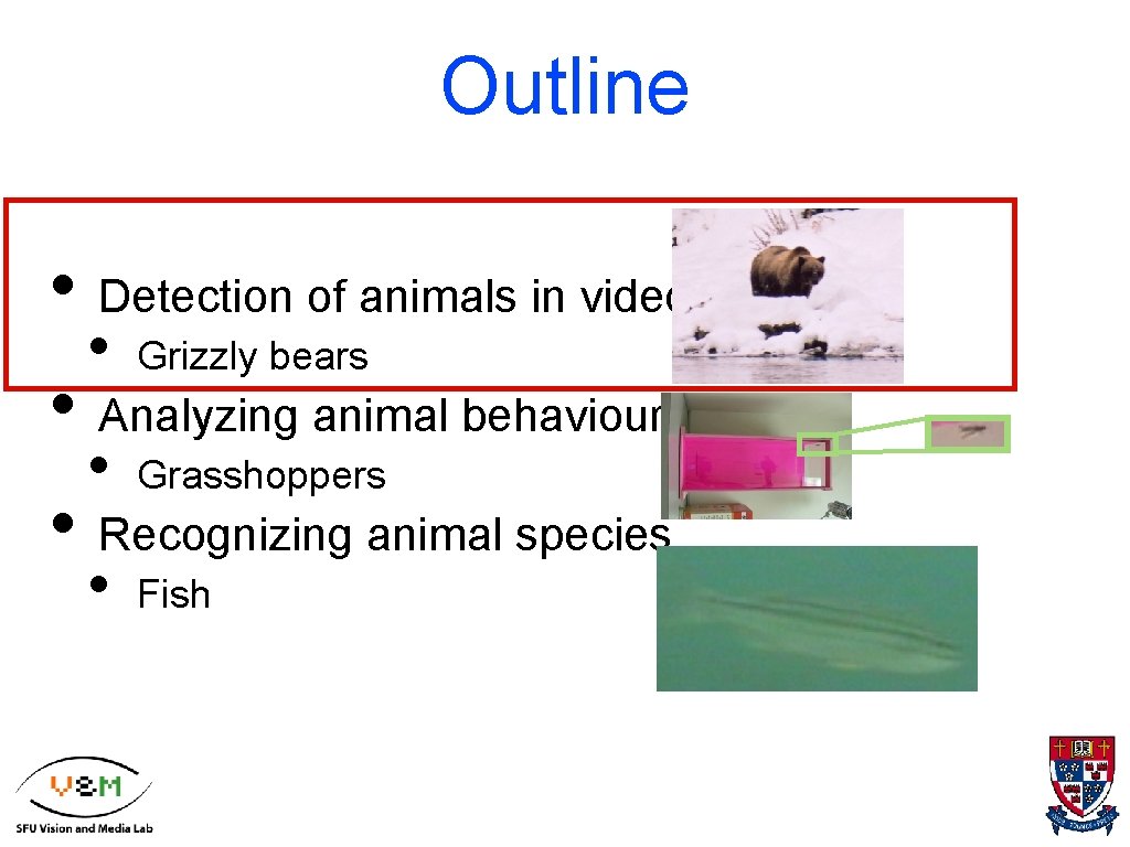 Outline • Detection of animals in video • Grizzly bears • Analyzing animal behaviours