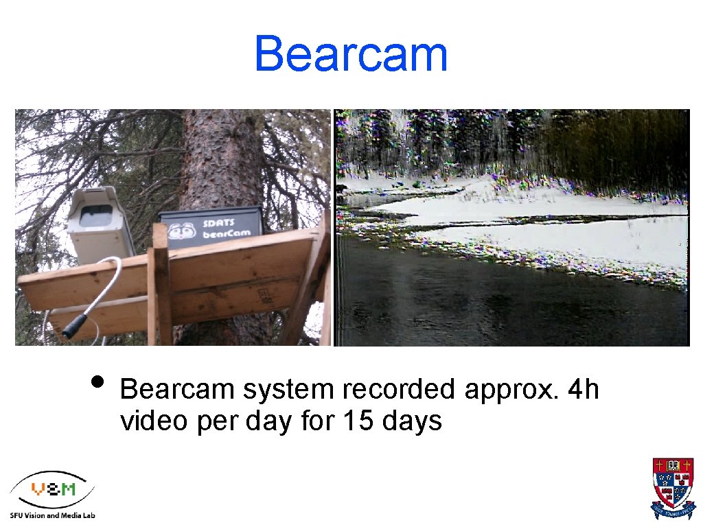 Bearcam • Bearcam system recorded approx. 4 h video per day for 15 days
