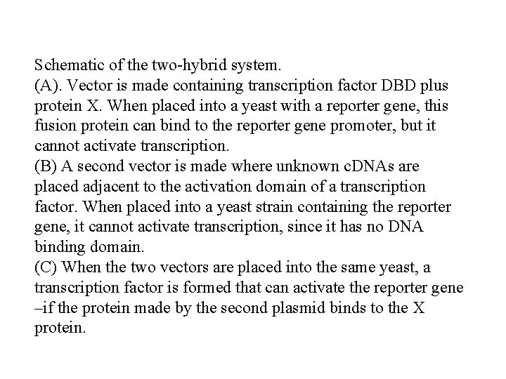 Schematic of the two-hybrid system. (A). Vector is made containing transcription factor DBD plus