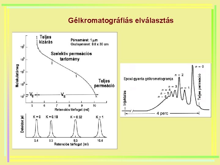 Gélkromatográfiás elválasztás 