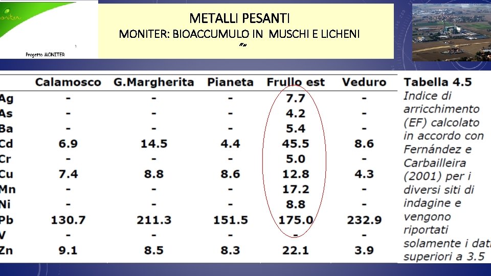 METALLI PESANTI MONITER: BIOACCUMULO IN MUSCHI E LICHENI “” 