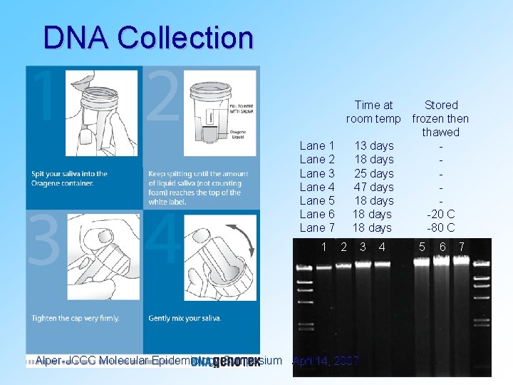 DNA Collection Time at room temp Lane 1 Lane 2 Lane 3 Lane 4