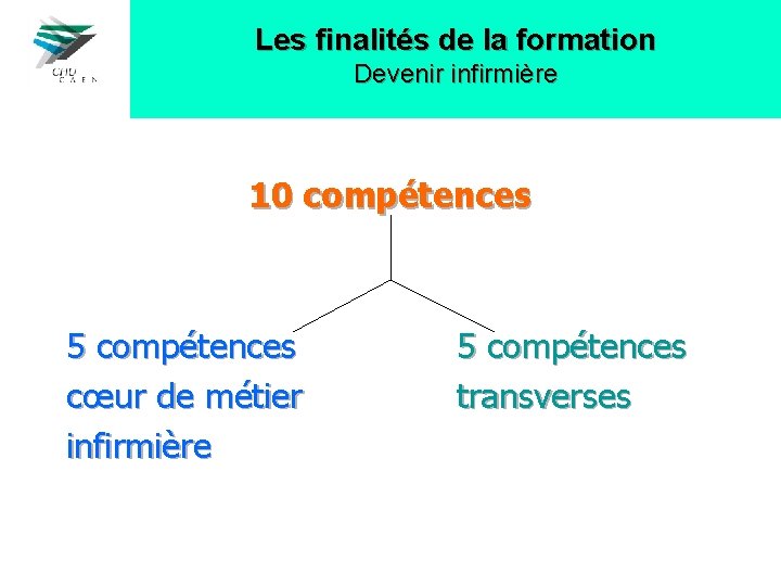 Les finalités de la formation Devenir infirmière 10 compétences 5 compétences cœur de métier