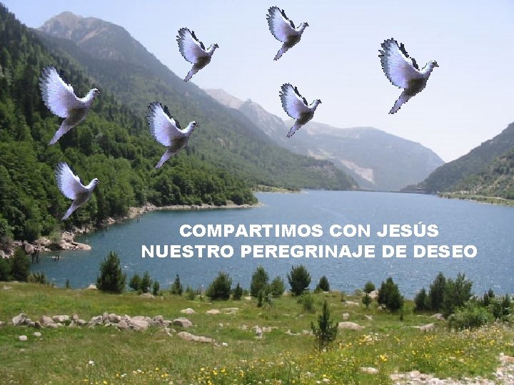 COMPARTIMOS CON JESÚS NUESTRO PEREGRINAJE DE DESEO 