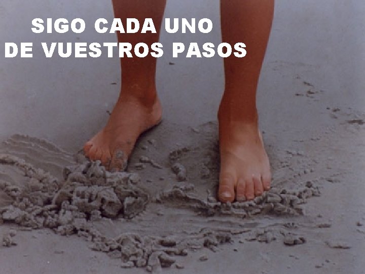 SIGO CADA UNO DE VUESTROS PASOS 