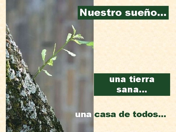 Nuestro sueño. . . una tierra sana. . . una casa de todos. .