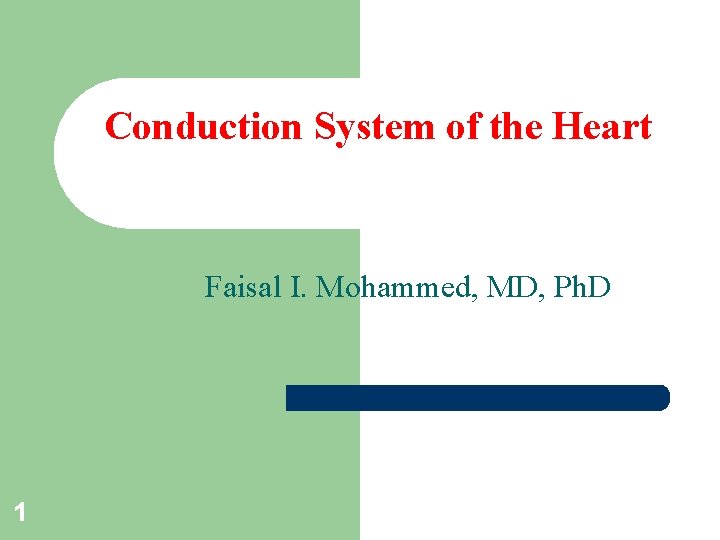 Conduction System of the Heart Faisal I. Mohammed, MD, Ph. D 1 