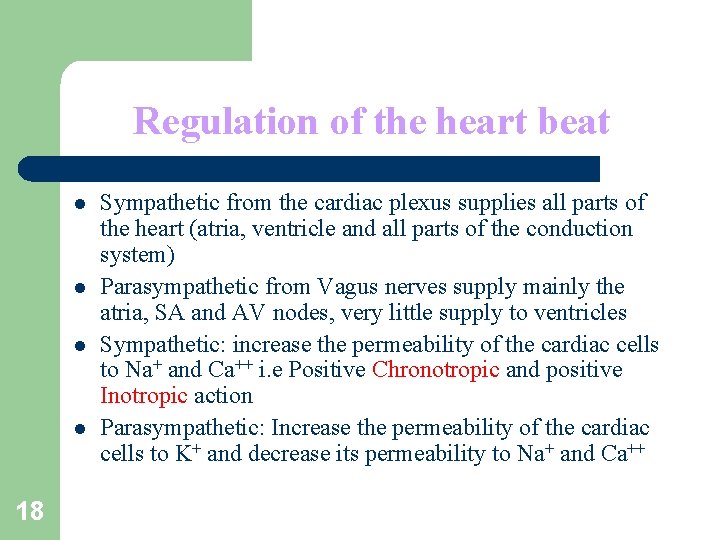 Regulation of the heart beat l l 18 Sympathetic from the cardiac plexus supplies