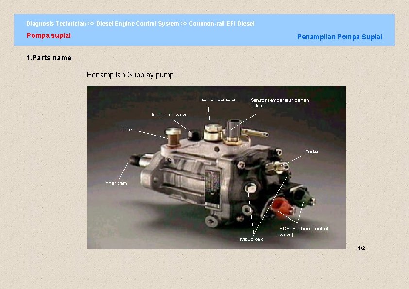 Diagnosis Technician >> Diesel Engine Control System >> Common-rail EFI Diesel Pompa suplai Penampilan