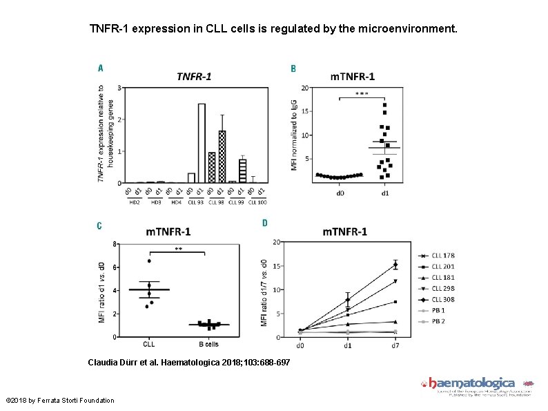 TNFR-1 expression in CLL cells is regulated by the microenvironment. Claudia Dürr et al.