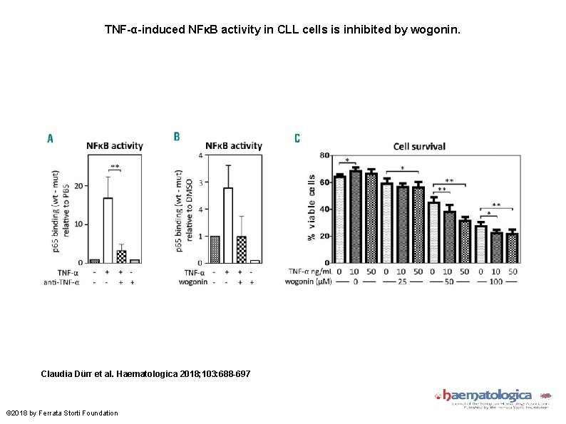 TNF-α-induced NFκB activity in CLL cells is inhibited by wogonin. Claudia Dürr et al.