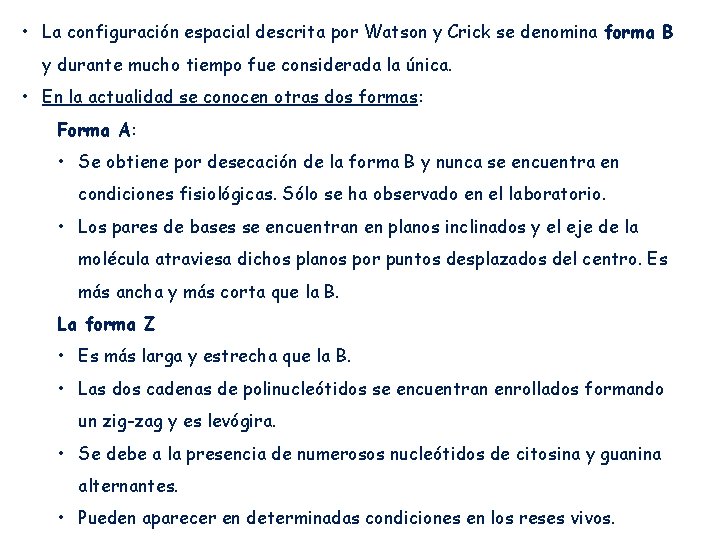  • La configuración espacial descrita por Watson y Crick se denomina forma B