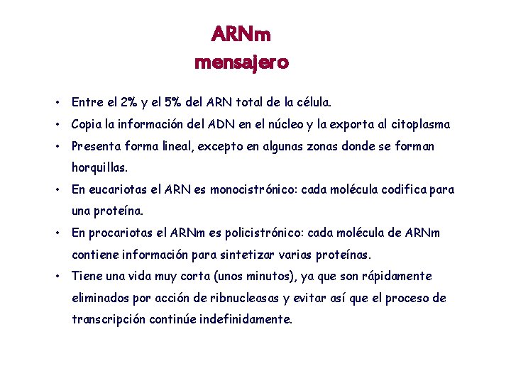 ARNm mensajero • Entre el 2% y el 5% del ARN total de la