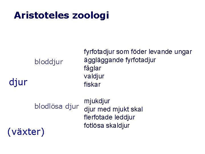 Aristoteles zoologi bloddjur fyrfotadjur som föder levande ungar äggläggande fyrfotadjur fåglar valdjur fiskar mjukdjur