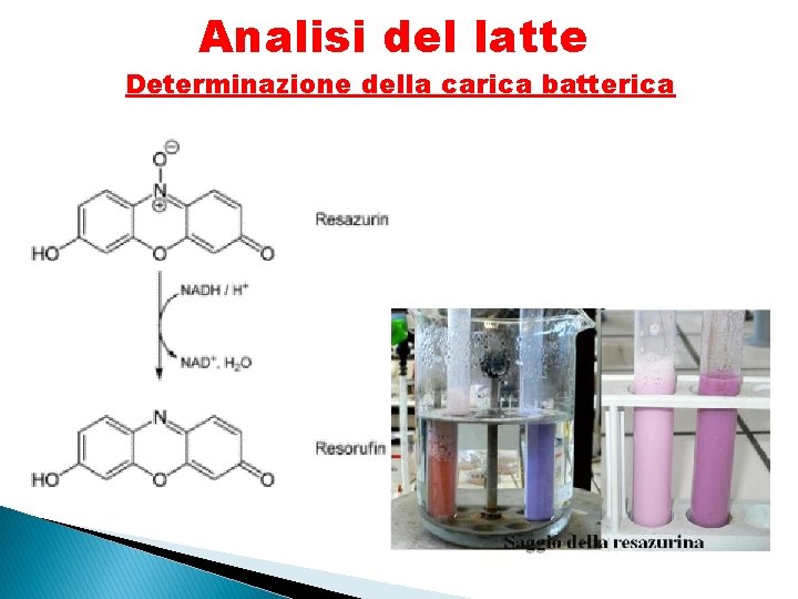 Analisi del latte Determinazione della carica batterica 