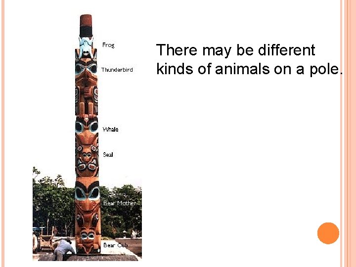 There may be different kinds of animals on a pole. 