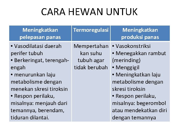 CARA HEWAN UNTUK Meningkatkan Termoregulasi Meningkatkan pelepasan panas produksi panas • Vasodilatasi daerah Mempertahan