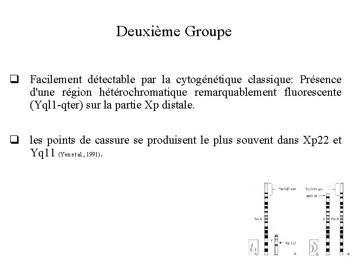 Deuxième Groupe q Facilement détectable par la cytogénétique classique: Présence d'une région hétérochromatique remarquablement
