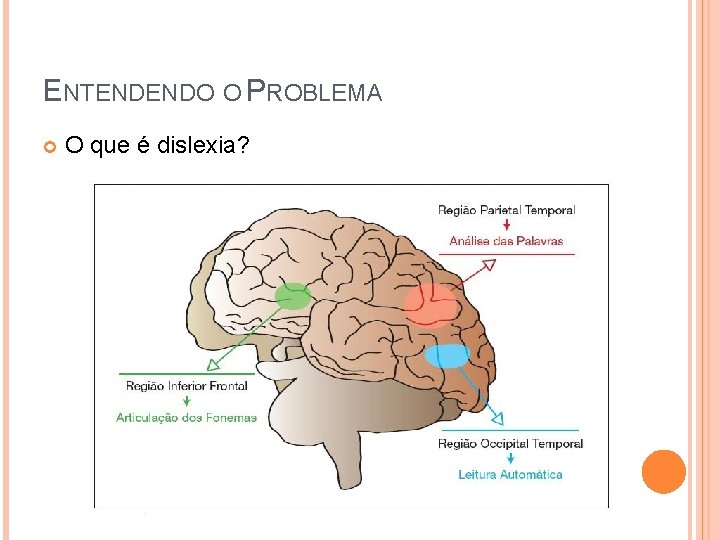 ENTENDENDO O PROBLEMA O que é dislexia? 