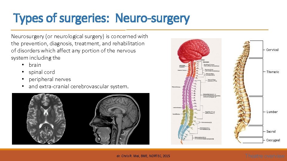 Types of surgeries: Neuro-surgery Neurosurgery (or neurological surgery) is concerned with the prevention, diagnosis,