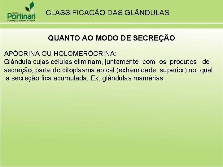 CLASSIFICAÇÃO DAS GL NDULAS QUANTO AO MODO DE SECREÇÃO APÓCRINA OU HOLOMERÓCRINA: Glândula cujas