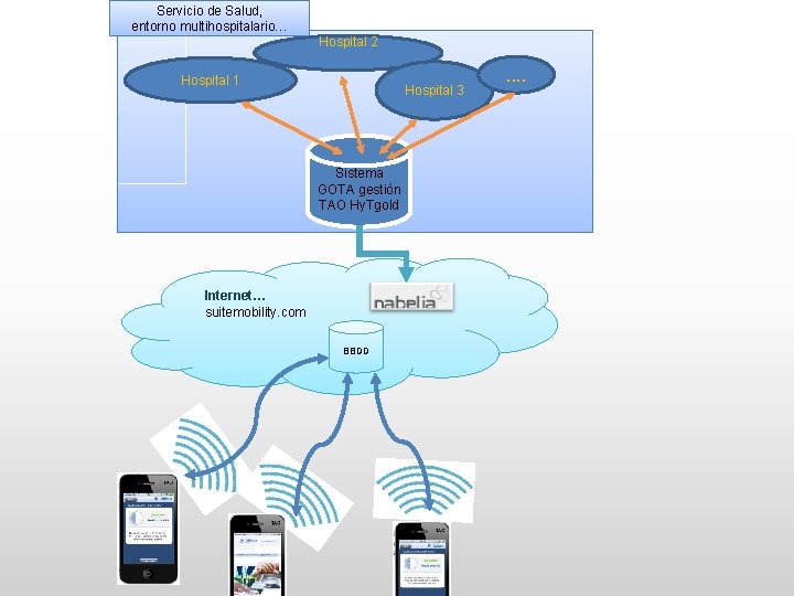 Servicio de Salud, entorno multihospitalario… Hospital 2 Hospital 1 Hospital 3 Sistema GOTA gestión
