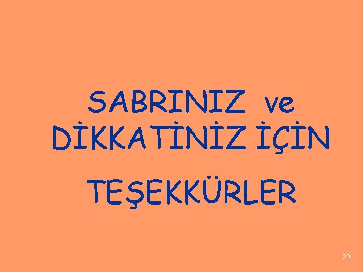 SABRINIZ ve DİKKATİNİZ İÇİN TEŞEKKÜRLER 29 