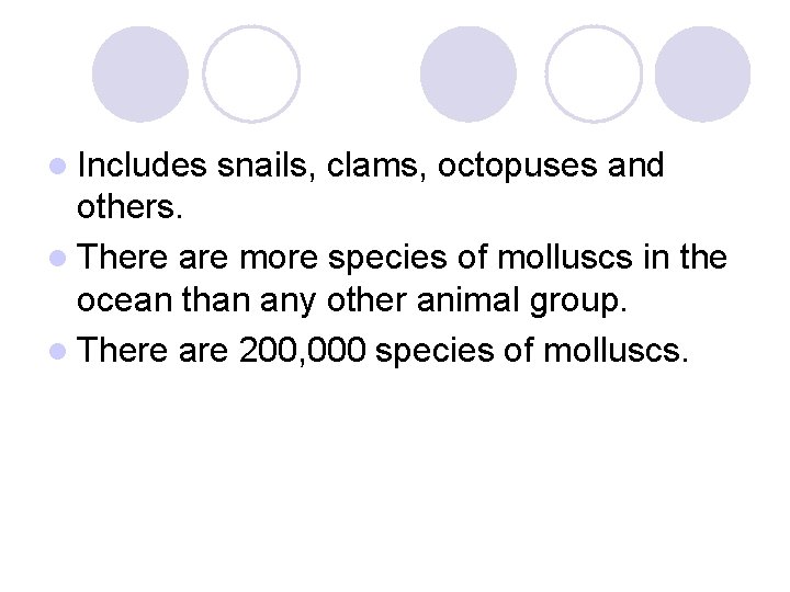 l Includes snails, clams, octopuses and others. l There are more species of molluscs